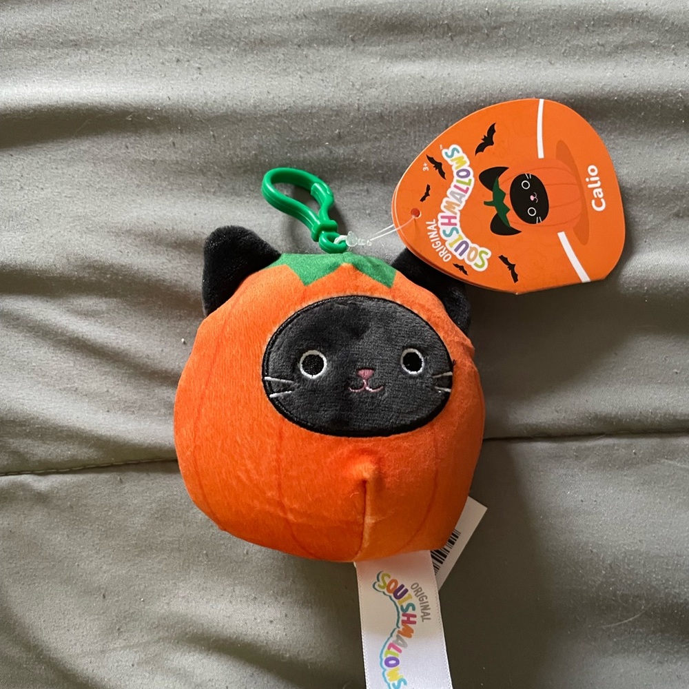 Calio the cat dressed as a pumpkin squishmallow clip